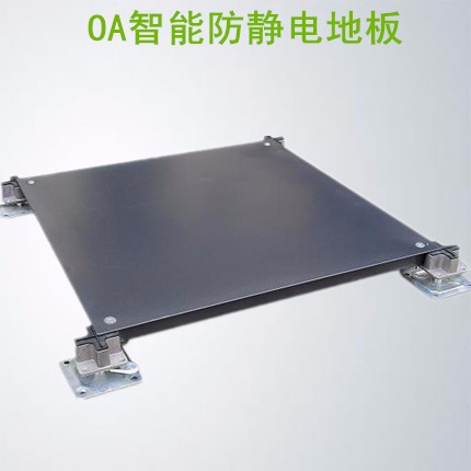 江苏常州蓝猫牌防静电地板** OA智能化网络地板写字楼高架架空地板专用可铺设地毯图1