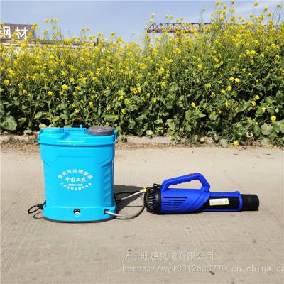 加厚塑料20升喷雾器 背负式电动喷雾器 智能锂电池打药机图2