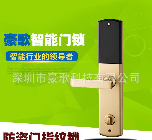 直销 密码锁 指纹锁智能锁 防盗门智能家居锁图3
