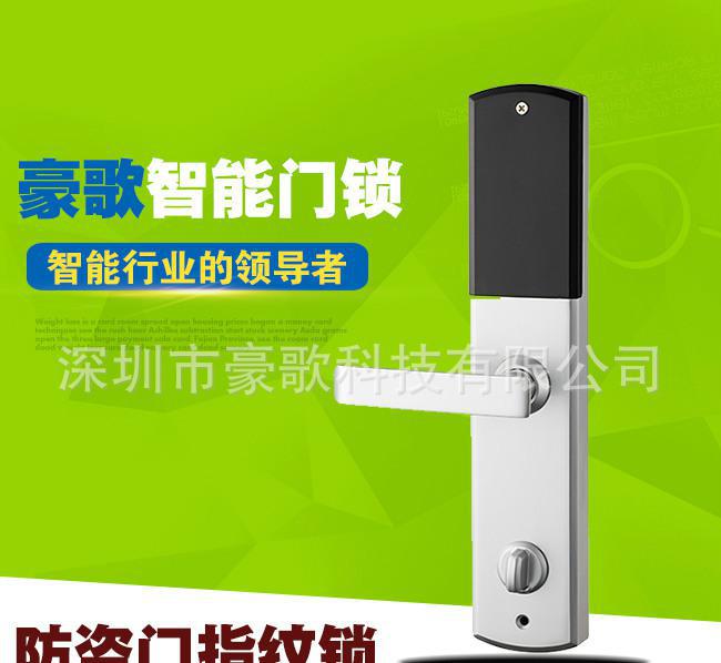 直销 密码锁 指纹锁智能锁 防盗门智能家居锁图1