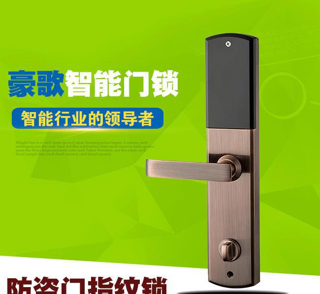 直销 密码锁 指纹锁智能锁 防盗门智能家居锁图2