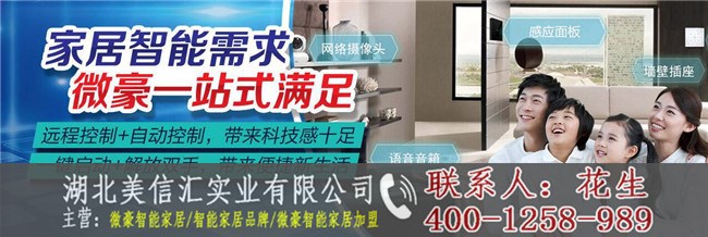 【微豪】微豪智能家居智能家居的意义！_现场产品讲解图1