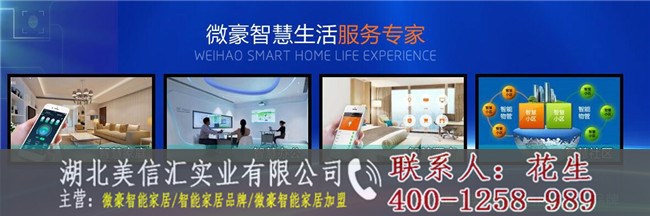 【微豪】微豪智能家居智能家居的意义！_现场产品讲解图3