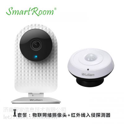 山东临沂智能家居安防类产品?图2