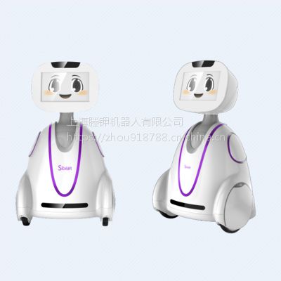 思依暄小暄机器人亲情陪护智能家居人脸识别语音控制儿童陪伴教育学习机器人图3