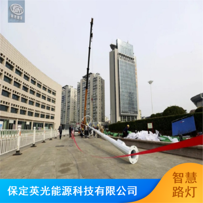 延庆环境监测多功能物联网一体化路灯 城市智慧路灯图3