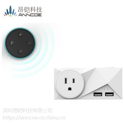 智能Wifi插座与Amazon Alexa和Google Home一起使用用于智能家居图2