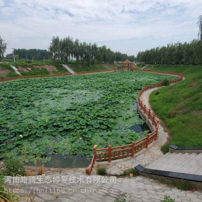 城市河道综合治理工程底泥团粒结构改良剂图3