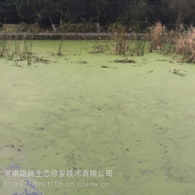 城市河道综合治理工程底泥团粒结构改良剂图1