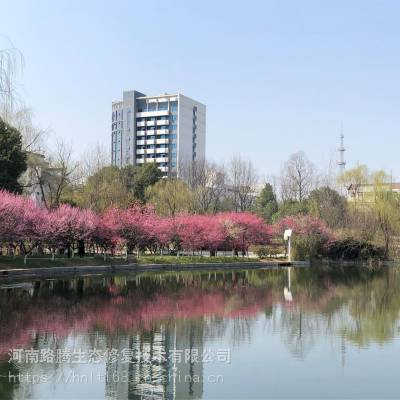 城市河道综合治理工程底泥团粒结构改良剂图2