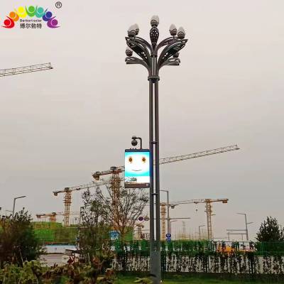 博尔勃特 城市园区主干道一体化太阳能智慧路灯杆图2