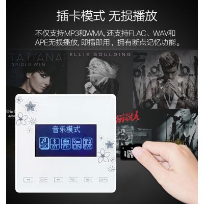 酒店别墅家庭背景音乐系统智能家居背景音乐图1