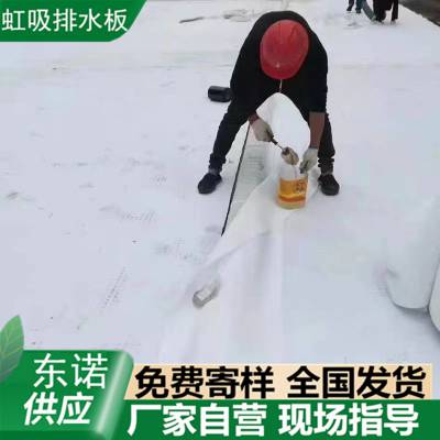 供应 海绵城市 复合虹吸排水板 H20高车库顶板排水板 东诺图1