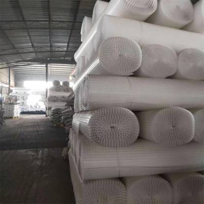 供应 海绵城市 复合虹吸排水板 H20高车库顶板排水板 东诺图2