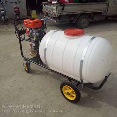 科圣 城市绿化喷雾器 喷程远打药机 双管联动式喷雾器
