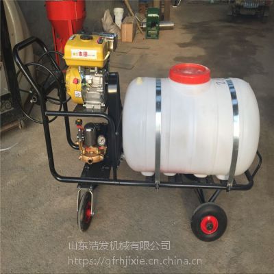 城市街道喷雾器厂家 果园喷药打药机图2