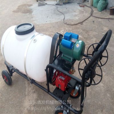 城市街道喷雾器厂家 果园喷药打药机图3
