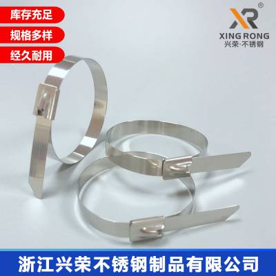 兴荣高速公路用不锈钢扎带 城市道路用不锈钢扎带图3