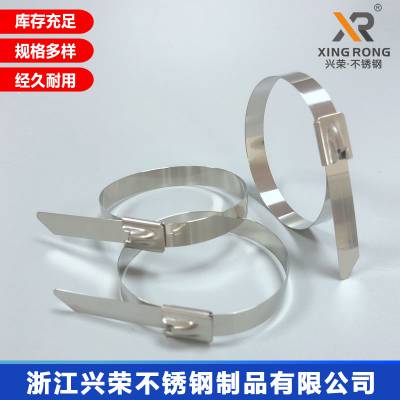 兴荣高速公路用不锈钢扎带 城市道路用不锈钢扎带图2