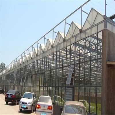 玻璃温室 玻璃温室大棚建设 承接农业养殖智能温室大棚 龙鑫温室