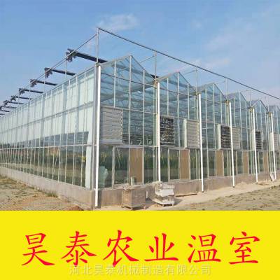 玻璃温室大棚,连栋薄膜大棚,智能玻璃温室***昊泰农业温室图2