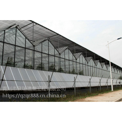 供应***智能农业大棚 玻璃温室 智能温室价格