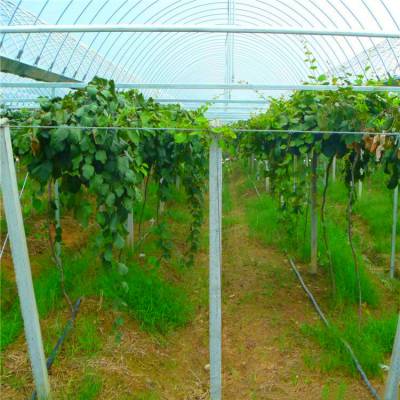 葡萄园智能农业浇灌设备 FTD厂家***图1