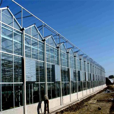 玻璃温室大棚批发商 龙鑫温室 智能连栋温室大棚 农业玻璃温室