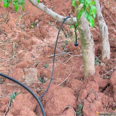 海南节水灌溉设备成本微喷头智能节水灌溉农业