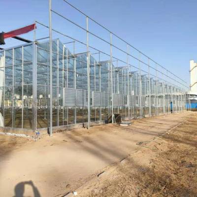 ***植物温室大棚 玻璃温室工程承建 连栋农业智能温室暖棚图1