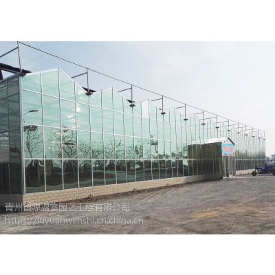 南充花卉展厅智能玻璃温室大棚工程建设厂家欢迎各界领导实地考察图3