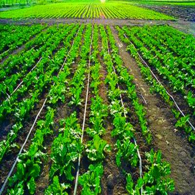 草莓园智能农业灌溉设备 多种浇灌模式可按需选择 FTD图1