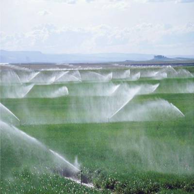 草莓园智能农业灌溉设备 多种浇灌模式可按需选择 FTD图3