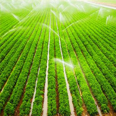 大棚种植自动喷淋浇灌设备 FTD智能农业灌溉系统图1