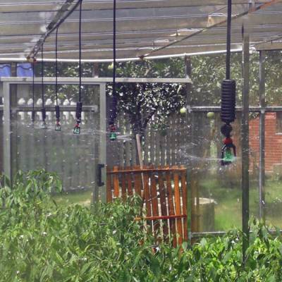 大棚种植自动喷淋浇灌设备 FTD智能农业灌溉系统图2