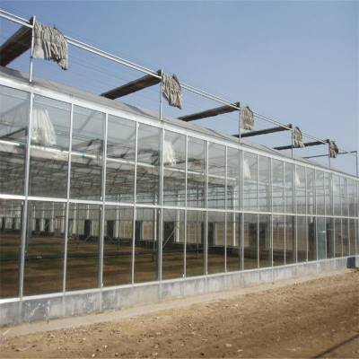农业智能温室大棚设计 龙鑫温室 玻璃温室大棚 玻璃温室设计原理
