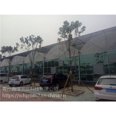 河南供应智能双拱双膜连栋大棚温室厂家 鑫泽农业大棚骨架厂图1