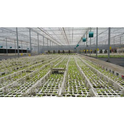 河南供应智能双拱双膜连栋大棚温室厂家 鑫泽农业大棚骨架厂图3