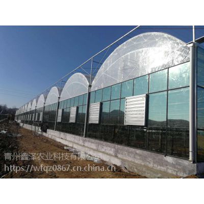 河南供应智能双拱双膜连栋大棚温室厂家 鑫泽农业大棚骨架厂图2