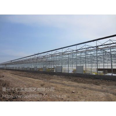 智能温室建造 玻璃大棚价格-山东千汇农业图1