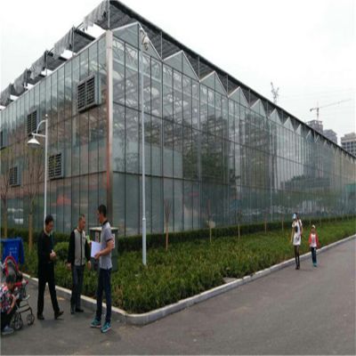 生态板阳光板环保玻璃智能阳光温室大棚玻璃温室大棚大型玻璃图3