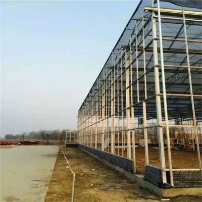 生态板阳光板环保玻璃智能阳光温室大棚玻璃温室大棚大型玻璃图1