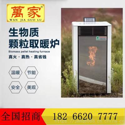 全自动生物颗粒取暖炉 家用商用生物质智能真火壁炉 节能环保颗粒炉图3
