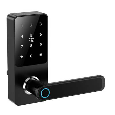 木门指纹锁家用卧室房门锁手机APP球形密码锁办公室智能电子门锁