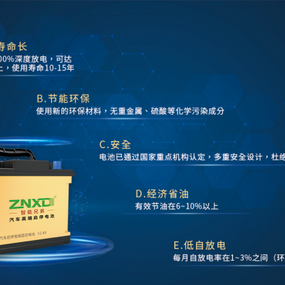 磷酸铁锂,汽车智能启停电池图2