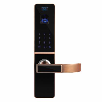 鑫保泰/XG-L300/指静脉智能锁/ 指静脉电子密码锁/ 指静脉识别/ 指纹指静脉锁锁(湖南)图1