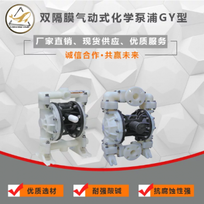 金蓝鲸品牌 *** 大流量 *** *** 可干转 双隔膜气动化学泵 -GY型图2