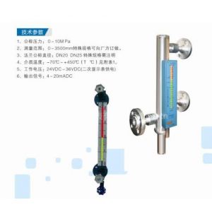 智能型电子双色液位计图1