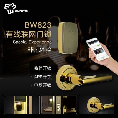 【智能酒店485门锁】 邦威电子BW823锌合金TCPIP协议485门锁图2