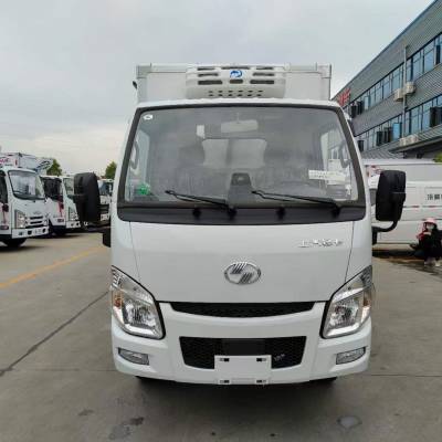 跃进小福星汽油版医疗废物运输车 小型疫苗运输车 4米2冷藏车图2